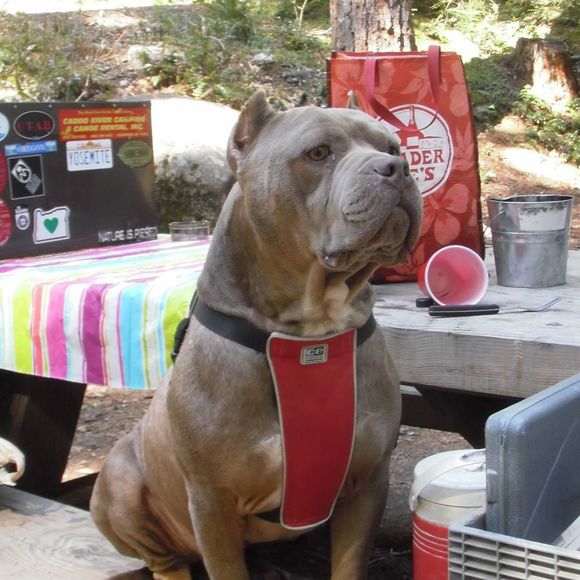 Meet your Posher, Mike - Picture 1 of 1